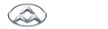 Logo of LDV - Brisbane Airport